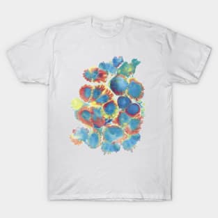 Jellyfish T-Shirt